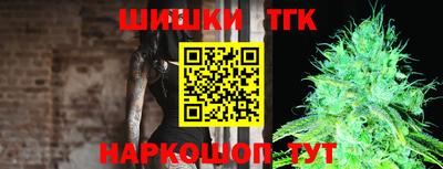 индика Гуково