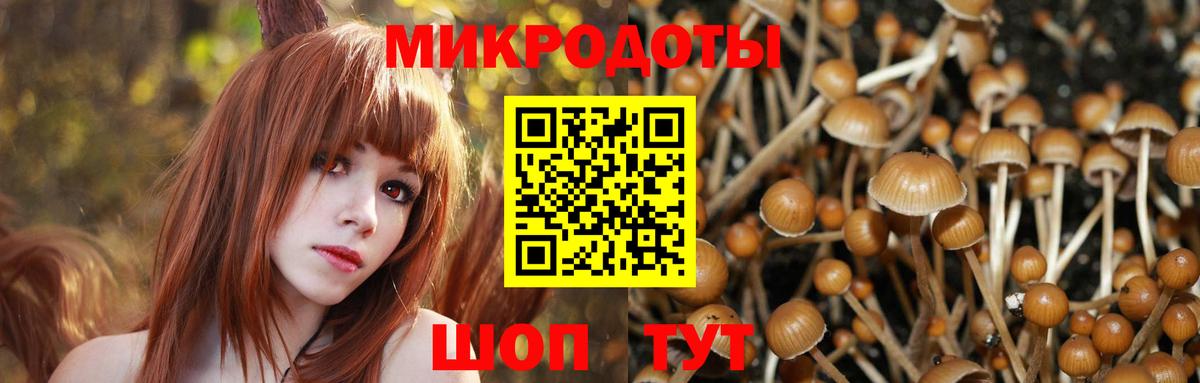 Псилоцибиновые грибы Psilocybine cubensis  Псилоцибиновые грибы Psilocybine cubensis  Вход с VPN  Ярцево 